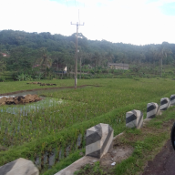 alat pertanian cangkul
