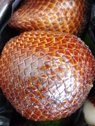 salak madu