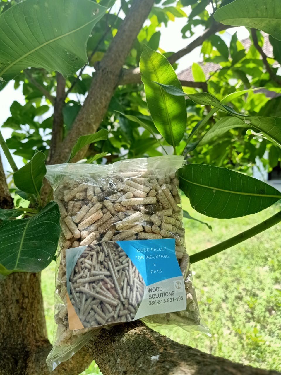 Wood Pellet Pellet Kayu Alas Kandang Hewan