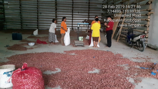 Bawang merah