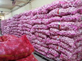 bawang merah