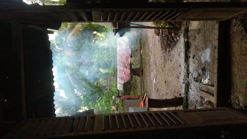 hasil tanaman pertanian dan perkebunan