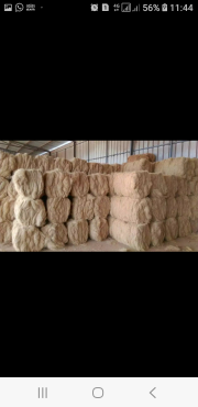 Coconut fiber & coconut shell chorcoal (arang tempurung kelapa) dengan harga nego dijual banyak