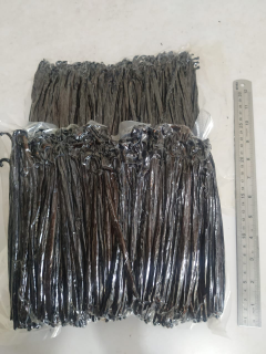 Vanilla Beans Planifolia