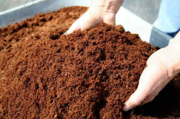 Cocopeat