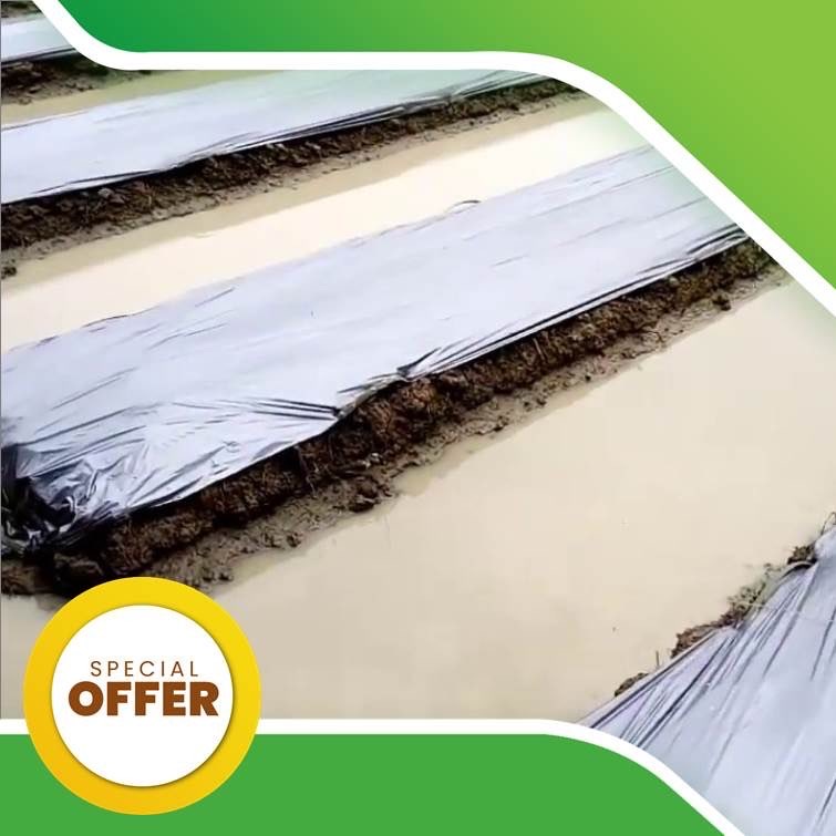 Mulsa Plastik Termurah Beragam Jenis Berkualitas
