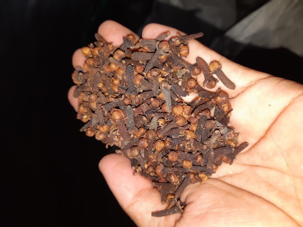 Cengkeh kering Grade AB6