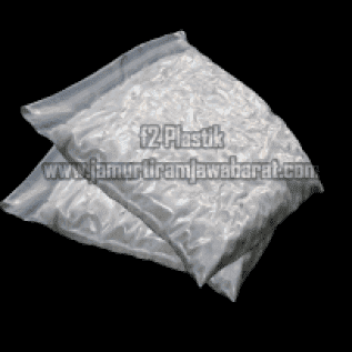 Jual bibit jamur tiram F2 plastik