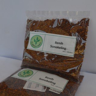 biji/ benih Sonokeling super berkualitas 
