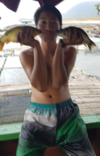 IKAN MAS KONSUMSI KEADAAN SEGAR