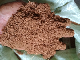 Cocopeat