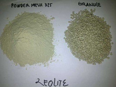 zeolite