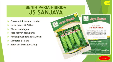 PARIA HIBRIDA JS SANJAYA
