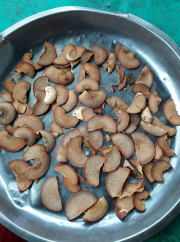 BIJI ALPUKAT KERING DAN BASAH