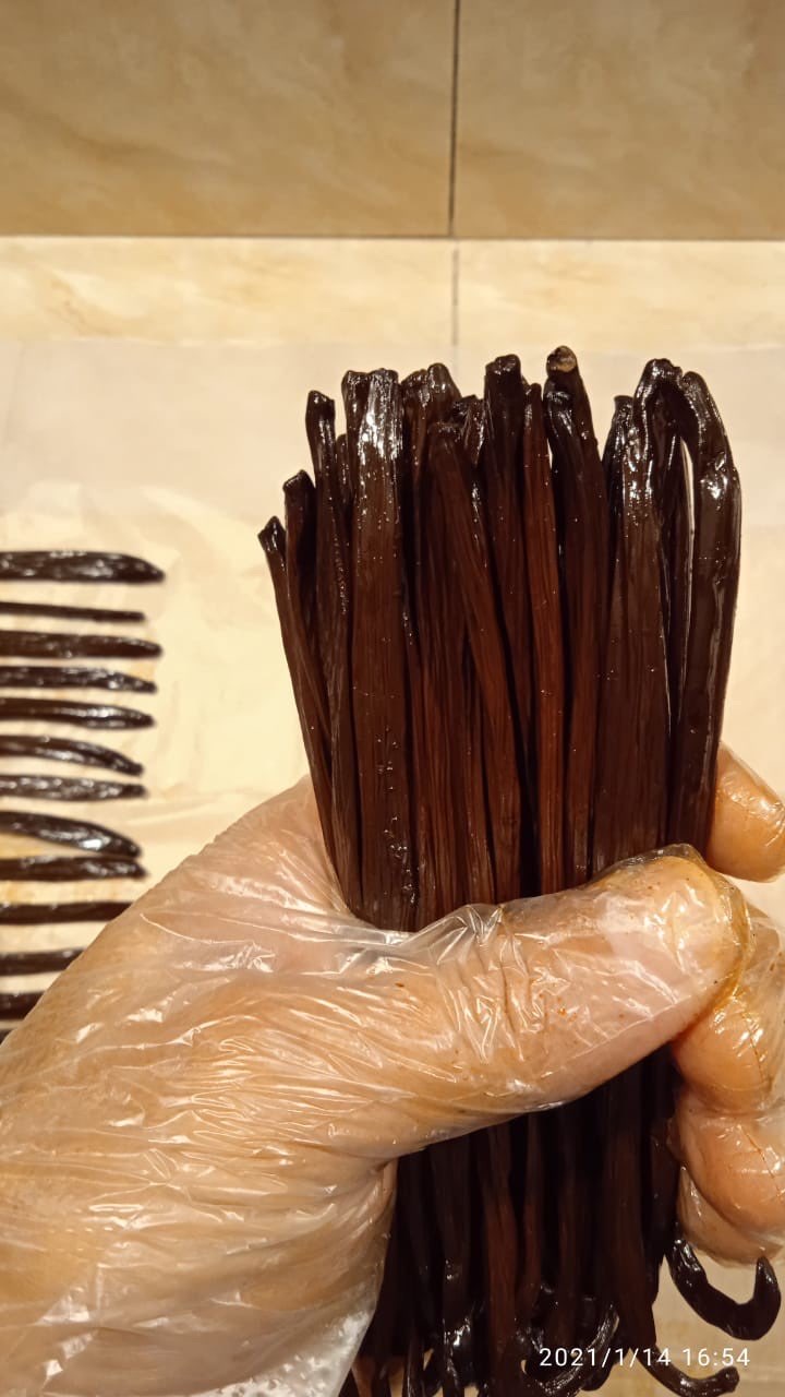 Vanilla Grade Ekspor