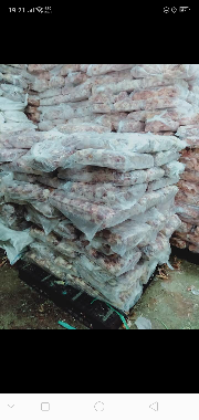 kepala ayam dan kepala doang