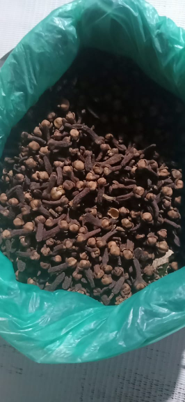 jual cengkeh kering bunga umur 2thn