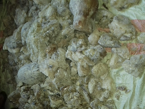 Damar Copal