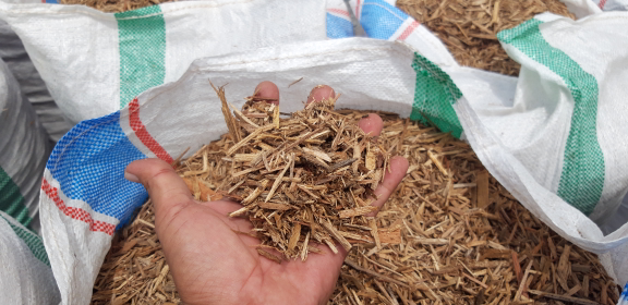 WOOD CHIPS MERANTI