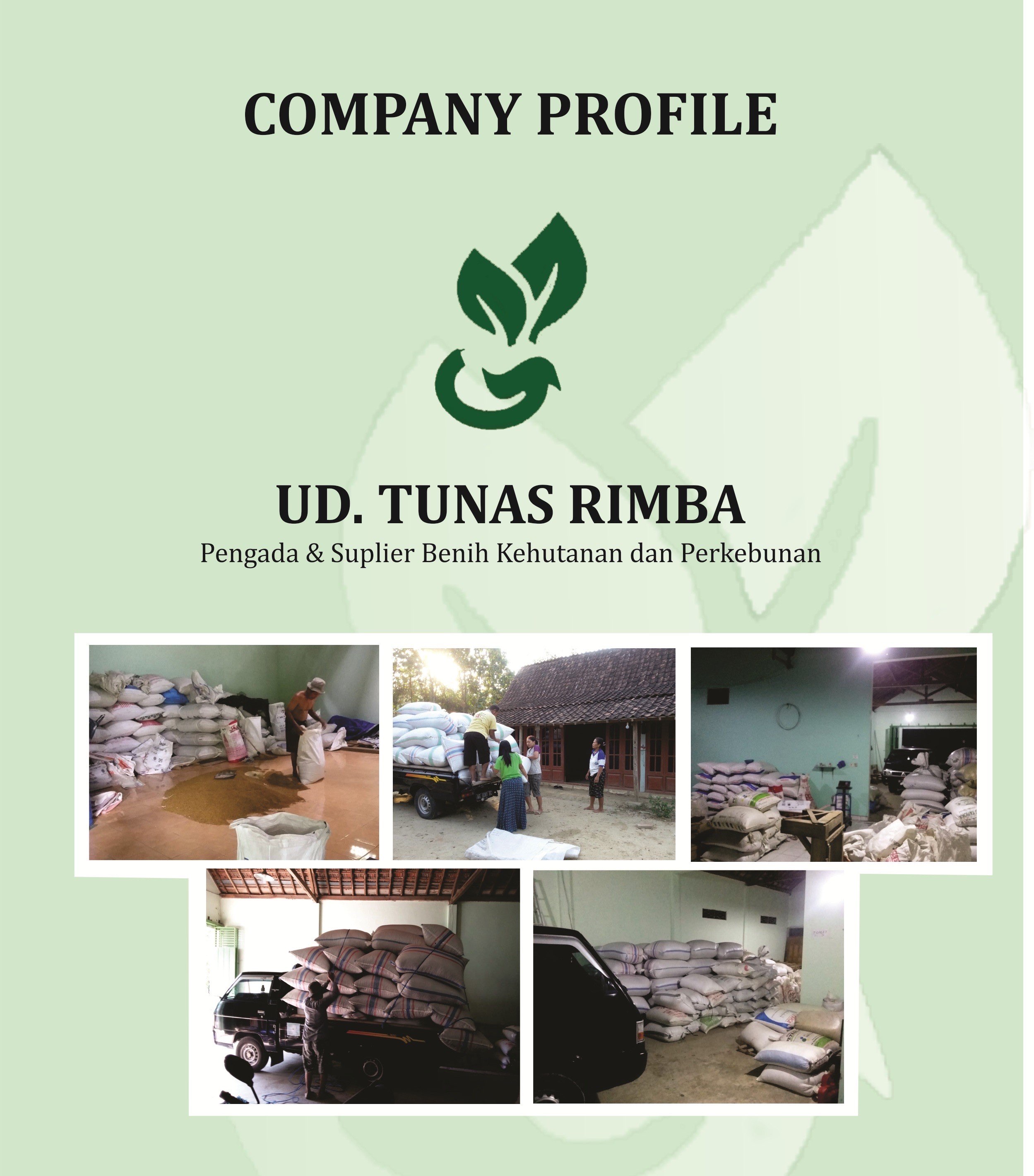 Biji Benih Hutan