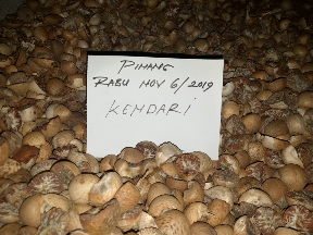Pinang Kering Belah Dua