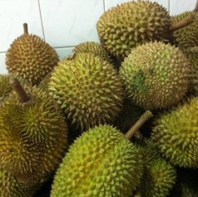 jual durian medan