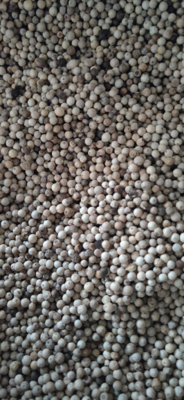 Muntok White Pepper