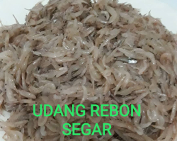 udang dan ikan