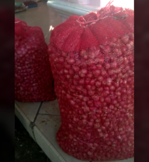 Bwang Merah Brebes