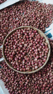 SUPPLIER BAWANG MERAH
