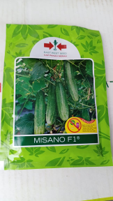 BENIH BIBIT MENTIMUN MISANO 800BUTIR