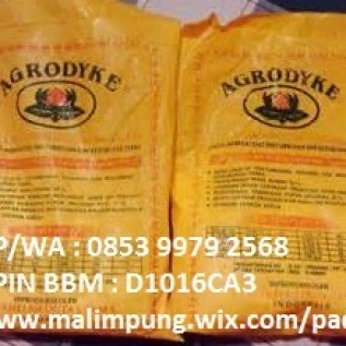 JUAL PUPUK AGRODYKE MAKASSAR.