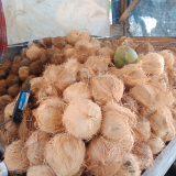 cari penyuplai kelapa/pisang yg bisa rutin..