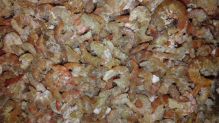 Udang Ebi