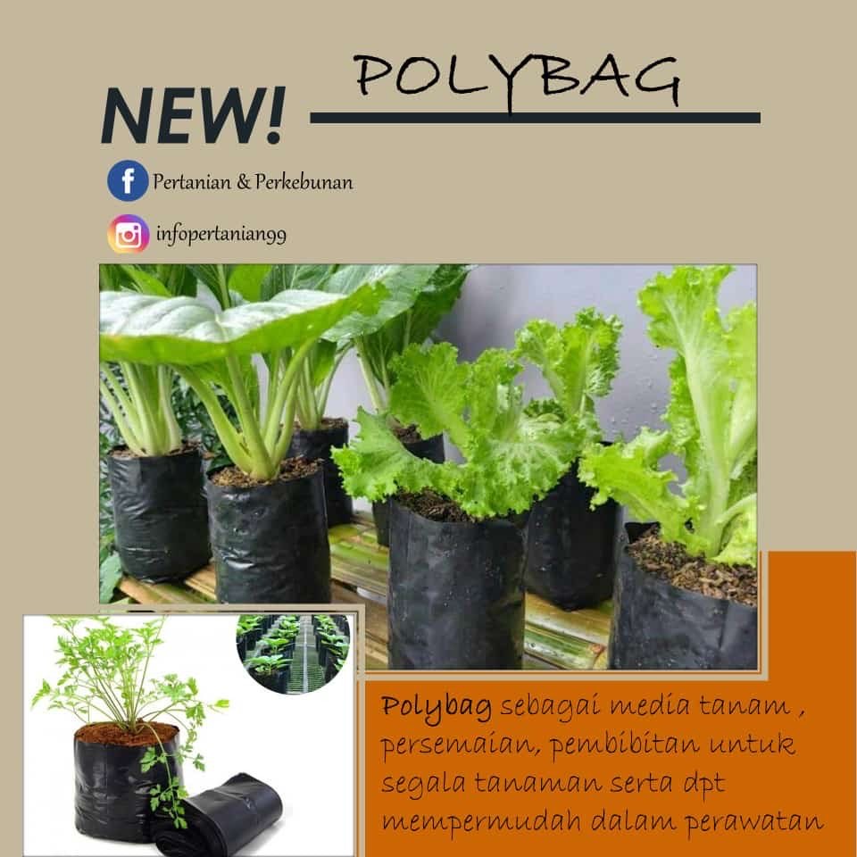 Polybag Plastik Tanaman