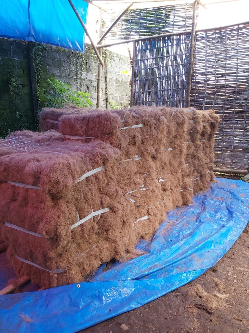 Cocofiber (Serat Sabut Kelapa), Grade B