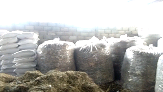 Jual Pakan Fermentasi untuk Sapi Kambing Domba