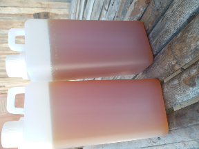 MADU MURNI ASLI HUTAN SUMBAWA 1KG