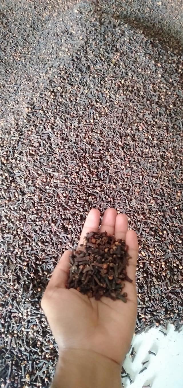 Jual Cengkeh