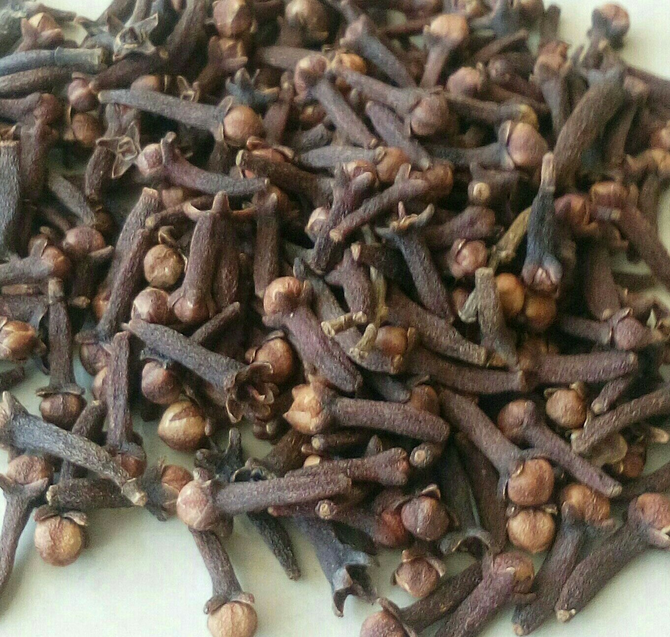 Jual CENGKEH