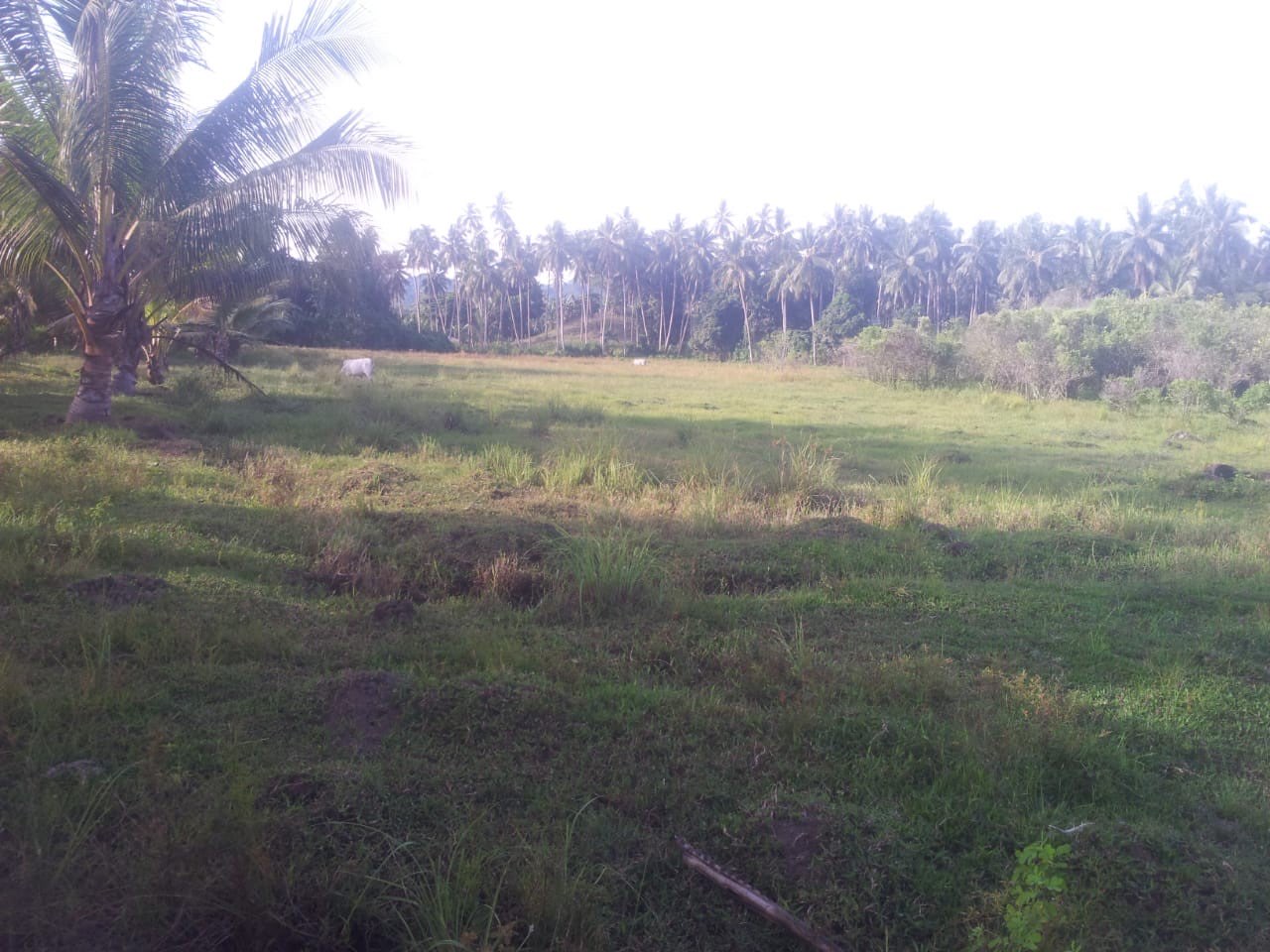 Jual Lahan berupa Tanah dan Bangunan