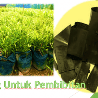 POLYBAG PEMBENIHAN