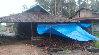 Batok Kelapa Mentah