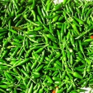 JUAL CABE RAWIT HIJAU