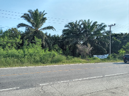 di jual tanah 10 Ha pinggir jalan lintas pekanbaru-pelalawan
