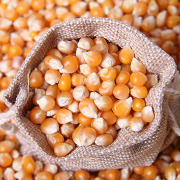 Jagung pipil import