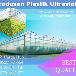 Plastik UV Lokal Merk Hercules