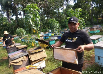 DISTRIBUTOR & SUPPLIER MADU