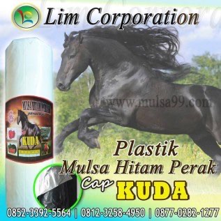 PLASTIK MULSA UNTUK TANAH BEDENGAN