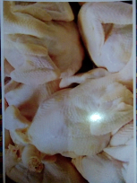 ayam potong boiler dan entok, bebek